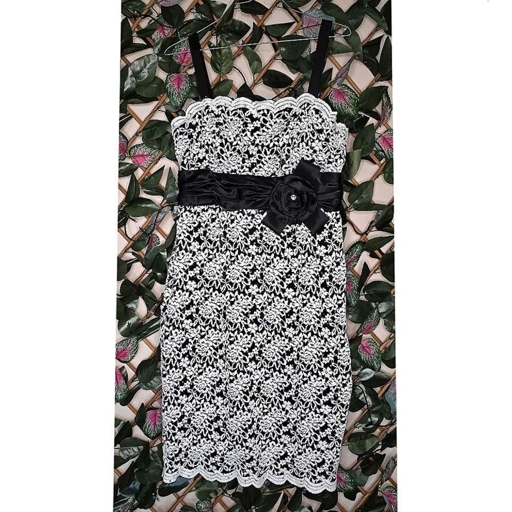 49) R&M RICHARDS Lace Dress Sz. 8 - Picture 2 of 10